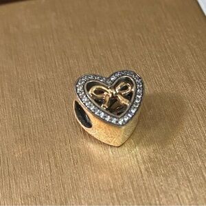 Pandora Charm Bound by Love
